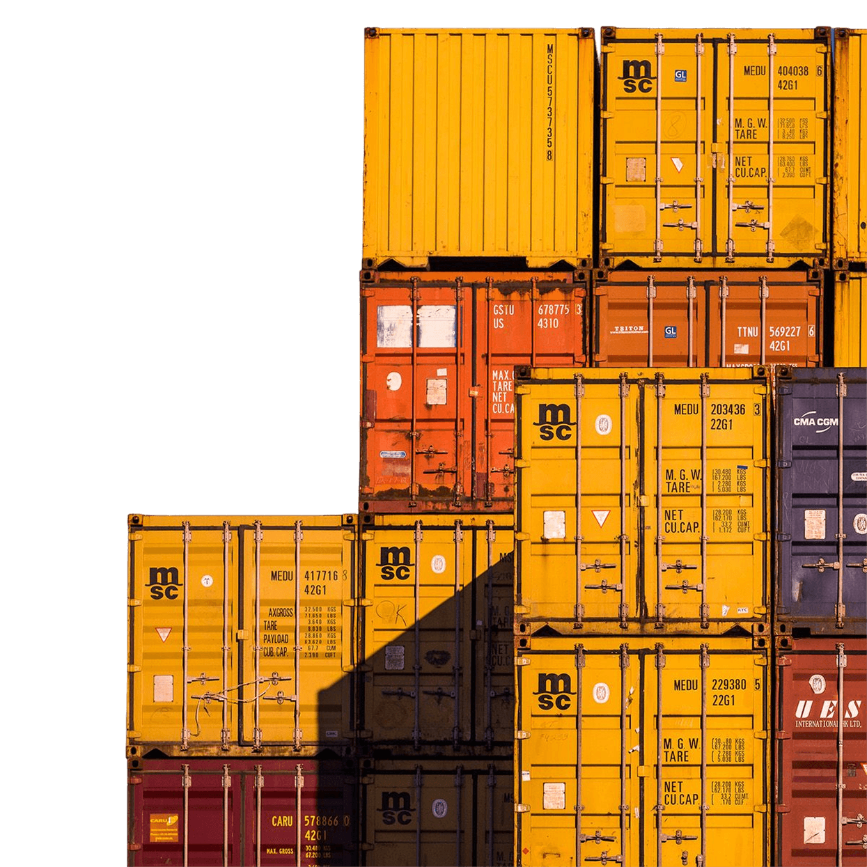 Conteneur de transport représentant les services de DTL